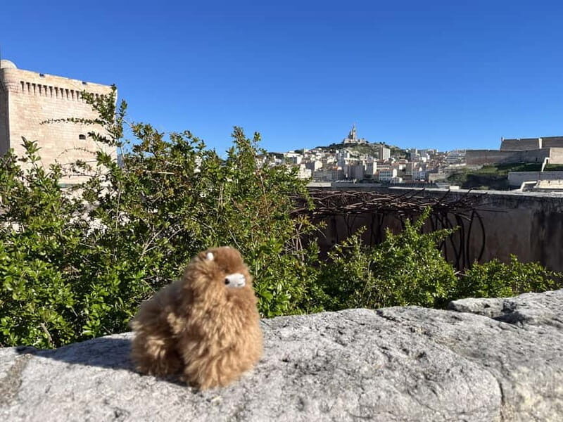 Marseille: Private Customised Walking 2-Hour Tour - Views of the Mediterranean from Fort Saint-Jean
