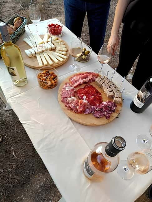 Mas Farchat: Wine tasting and tapas in the heart of nature - Discovering Mas Farchat: What to Expect
