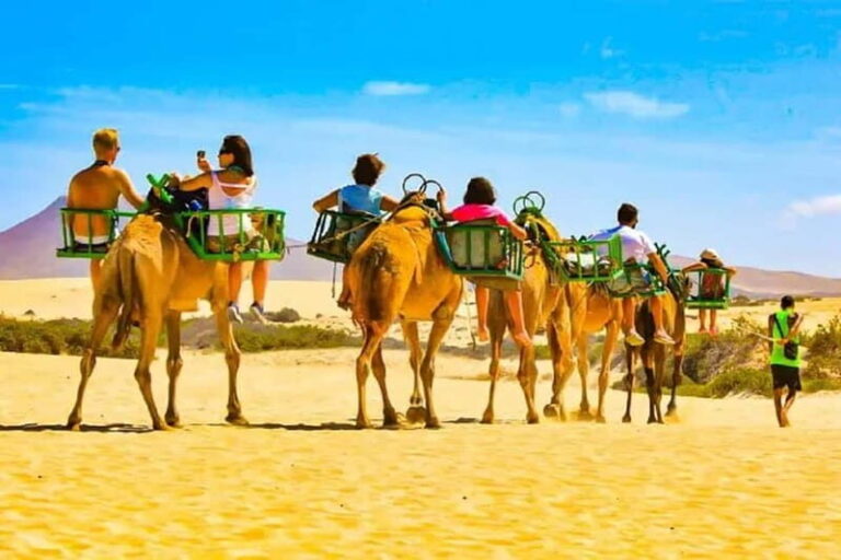 Maspalomas: 2-Seater E-Scooter Dunes Tour with Camel - Practical Aspects and Value