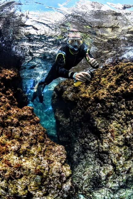 Medes Islands: Snorkeling at the beautiful Nature Park - What to Expect During the Tour