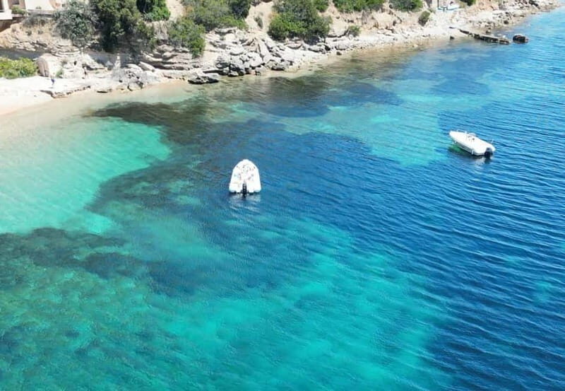 Meet the Dolphins  Escursione in Gommone - RIB Excursion - The Real-World Experience: What Travelers Say