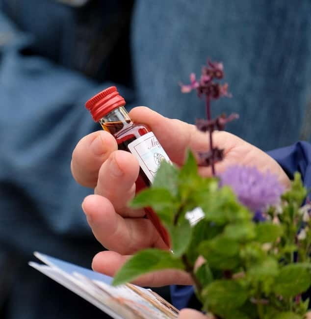 Meißen: Guided Walking Tour 'Romantic Evening Stroll'