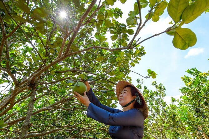 Mekong Countryside One Day Boat Rowing and Exploration Trip - Key Points