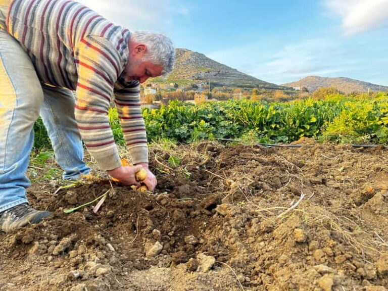 Melanes Tour: Kouros, culture,village life & local flavours - Who Will Love This Tour?