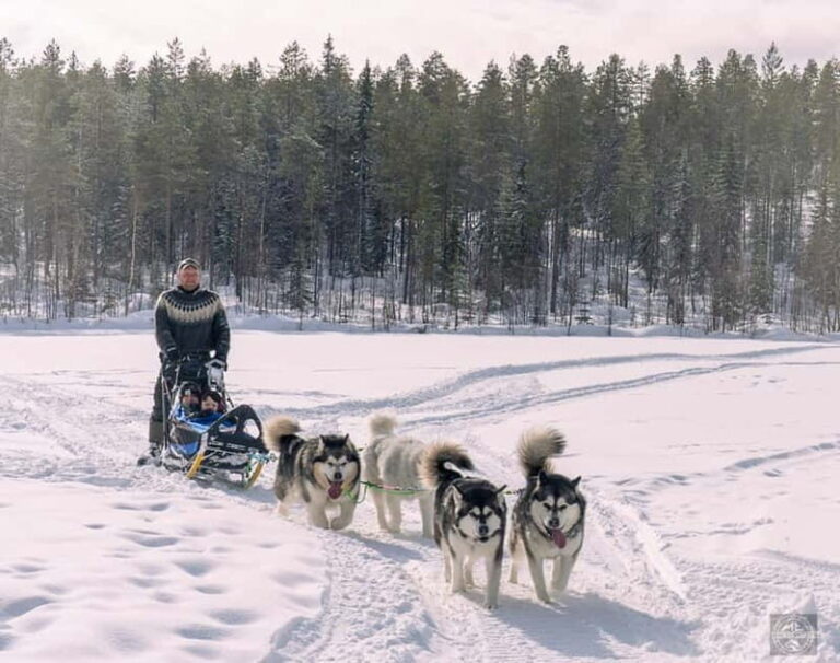 Meltosjärvi: Self Driving Husky Tour - Lake Trail Experience - Why This Tour Offers Real Value