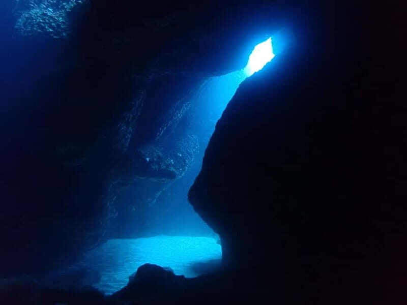 Menorca: 1 single dive (IMPORTANT: Certification REQUIRED) - An In-Depth Look at the Menorca Dive Tour