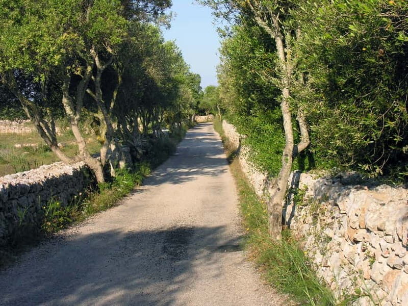 Menorca: E-Bike Tour From Punta Prima to Es Castell - Practical Details and Tips for Travelers