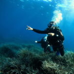 Menorca: Try scuba diving in Cala'n Bosch -BLUEWATER MENORCA - The Sum Up