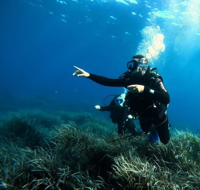 Menorca: Try scuba diving in Cala'n Bosch -BLUEWATER MENORCA - The Sum Up