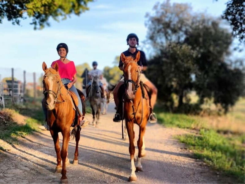 Middle day out of Rome: horsback riding adventure with meals - Why This Tour Offers Great Value