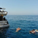 Mogan: Dolphin Watching Boat Trip with Swim Stop - The Itinerary in Detail