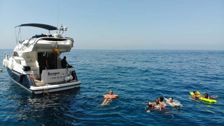 Mogan: Dolphin Watching Boat Trip with Swim Stop - The Itinerary in Detail