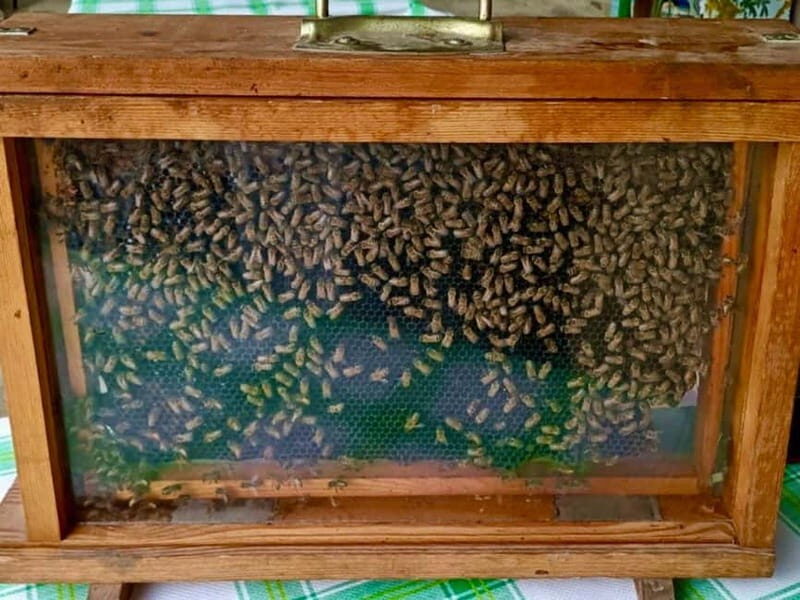 Monferrato: Honey and Mead Tasting Experience - What’s Included: A Closer Look