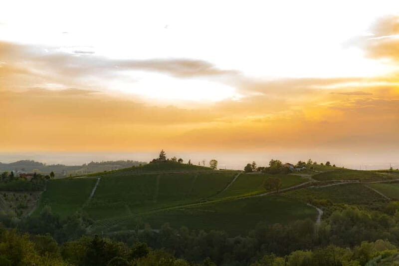 Monforte d'Alba: Picnic & Big Benches - What Makes This Tour Special