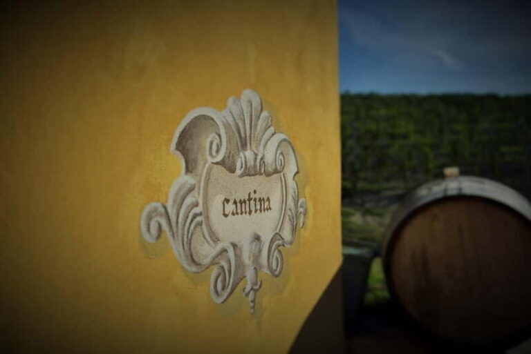 Monforte d'Alba: Wine and Chocolate Tasting Experience - Why This Tour Stands Out