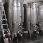Monforte d'Alba: Wine Tasting, Cellar Visit, and Vineyard Tour - Practical Details & Why They Matter