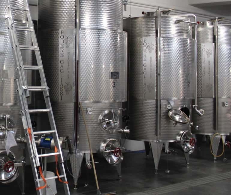 Monforte d'Alba: Wine Tasting, Cellar Visit, and Vineyard Tour - Practical Details & Why They Matter