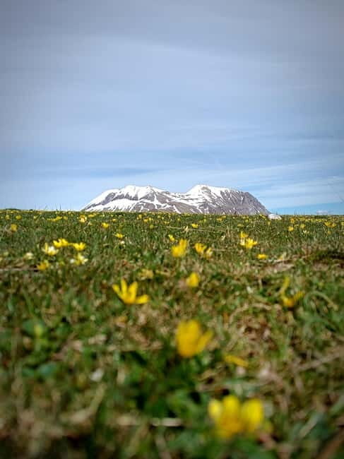 Monte Vettore: Masterchef with camping stoves - Frequently Asked Questions