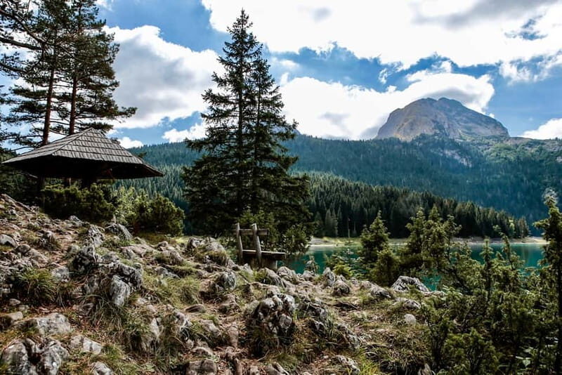 Montenegro: Durmitor, Tara & Ostrog Monastery Day Trip - Transportation, Timing, and Value