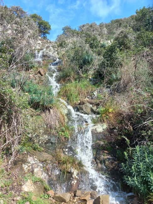 Monterosso Hiking Tour: Discover the Best Trails of 5 Terre - Experience Quality and Practical Details