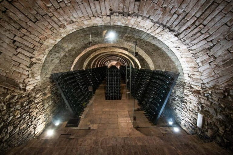 Montone: e-bike tour of the medieval village and visit to a winery - Why This Tour Works