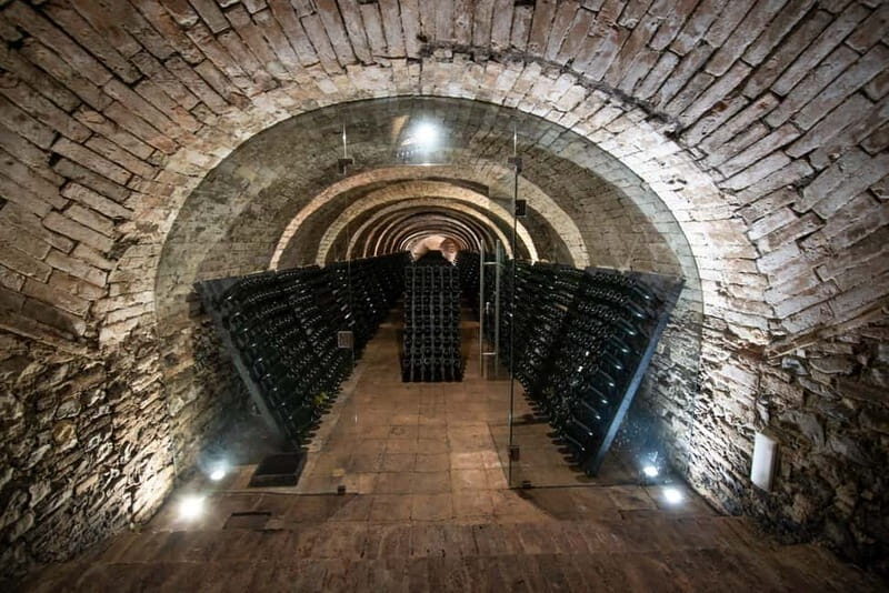 Montone: e-bike tour of the medieval village and visit to a winery - Why This Tour Works