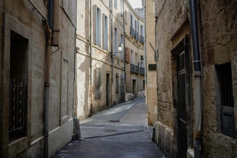 Montpellier: Private Guided Walking Tour - Practical Details and Tips