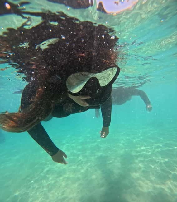 Morro Jable: Snorkeling Adventure - Who Will Love This Tour?