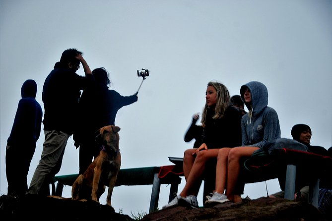 Mount Batur Sunrise Trekking - An In-Depth Look at the Mount Batur Sunrise Trek  
