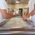 Mozzarella Experience: Tour + Lunch in Paestum's dairy - Practical Details and Considerations