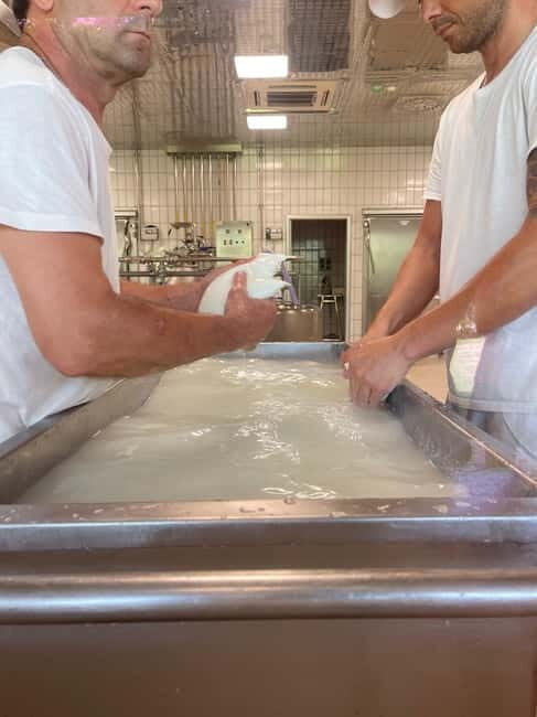 Mozzarella Experience: Tour + Lunch in Paestum's dairy - Practical Details and Considerations