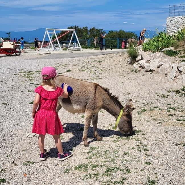 mrika (near Rijeka/Krk/Crikvenica) Donkey Farm Family Fun - What to Expect at the Donkey Farm Near Mrika