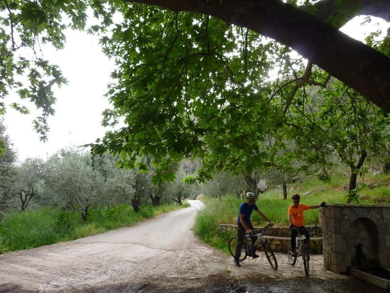 Mt. Parnassos: Mountain Bike in Altitude Forest
