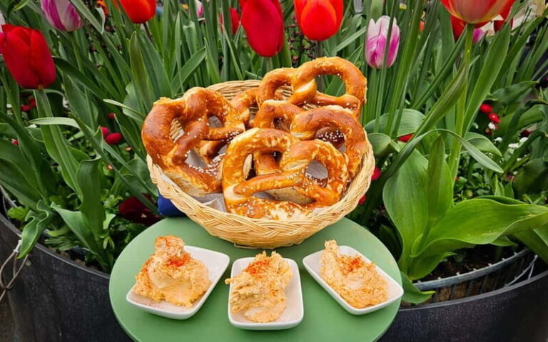 München: Vegetarische Viktualienmarkt-Probiertour Deutsch - The Experience from a Traveler’s Perspective