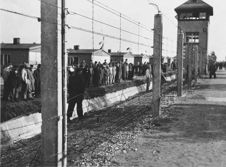 Munich: Dachau Concentration Camp Private Tour by Car - Who Is This Tour Best For?