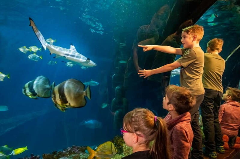 Munich: Day Ticket to Sea Life - Who Will Love This Experience?