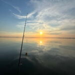 Murighiol: Danube Delta Water Lily Reserve Sunrise Boat Tour - Who Is This Tour Best For?