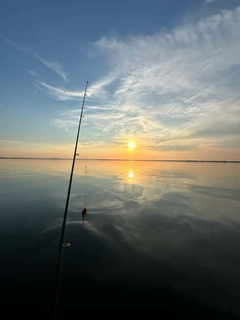 Murighiol: Danube Delta Water Lily Reserve Sunrise Boat Tour - Who Is This Tour Best For?