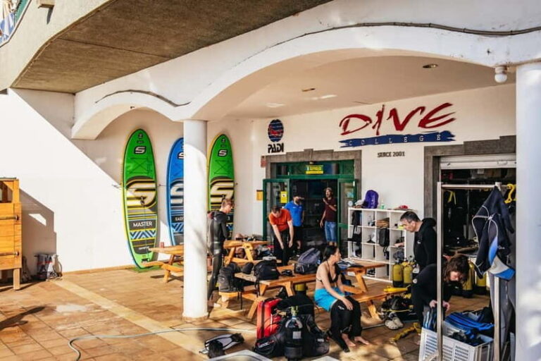 Museo Atlántico: Scuba Dive Lesson for Non-Certified Divers - What You’ll Experience During the Tour