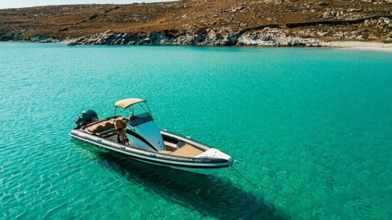 Mykonos: Customized Private RIB Cruise with Swim Stops - Onboard Comfort & Extras