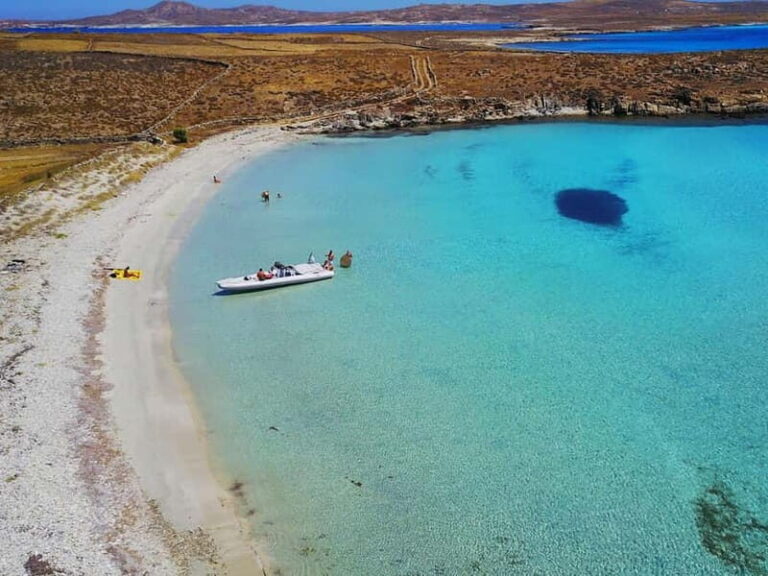 Mykonos: Delos and Rhenia Land Cruise with Fruit and Snacks - Practical Details and Tips