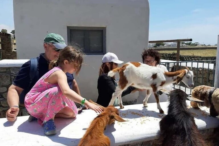 Mykonos Family Jeep Adventure: Farm, Winery and Beach Fun - Who Is This Tour Best For?