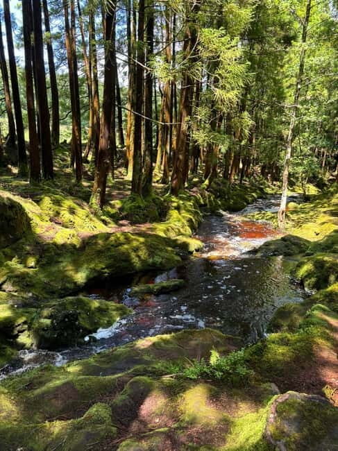 Mystery Tour of Terceira Island - Discovering the Mystery Tour of Terceira Island
