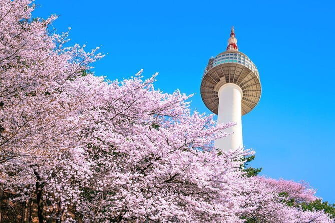 N Seoul Tower Observatory Ticket South Korea - Key Points