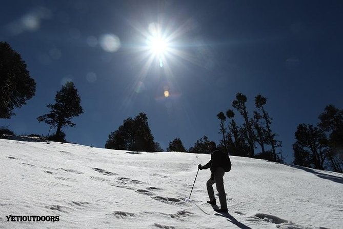 Naag Tibba Trekking and Hiking 2 Nights and 3 Days - Key Points  