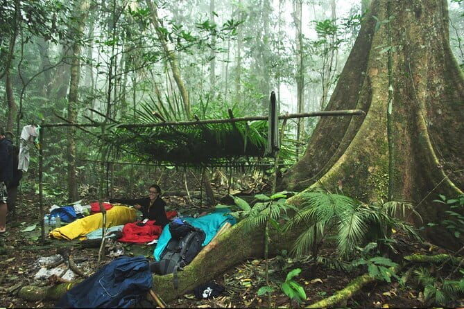 Nam Ha NPA 3 Day Wildlife Jungle Camp and Village Homestay Trek - An In-Depth Look at the Nam Ha NPA 3-Day Wildlife Jungle Camp and Village Homestay Trek