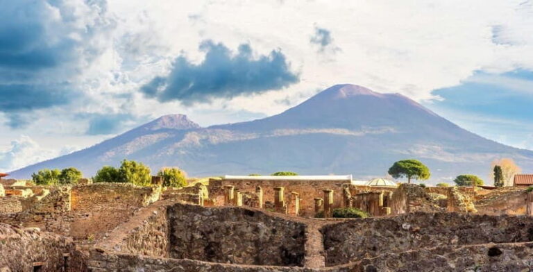 Naples: Private Pompeii & Vineyard Escape with Local - What Makes This Tour Valuable?