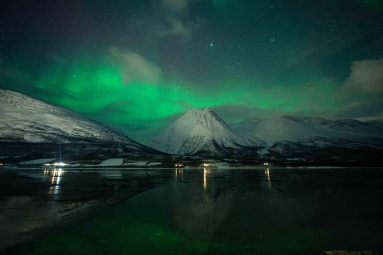 Narvik: Northern Lights Guided Tour with Photography Tips - What To Expect During the Tour