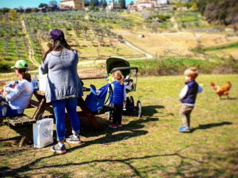 Natural Park and Picnic Experience near Florence - The Picnic Experience: A Taste of Tuscany