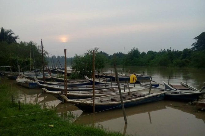 Nature At The Riverbank, Fireflies Watching By Row Boat (Guided) - A Deep Dive into the Experience